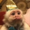 神码AI